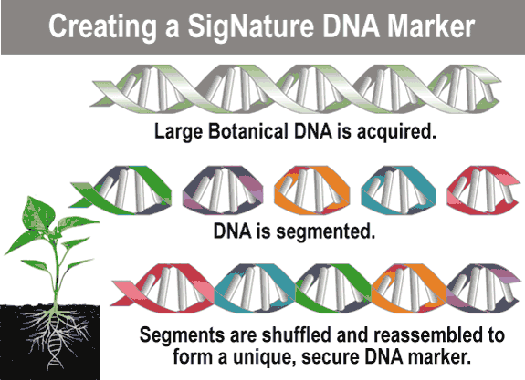 Creating SigNature DNA Marker